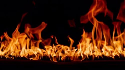 Fire Burning Flame Tongues of Orange Flame Bright Burning Flames on a Black Background Fire in Slow