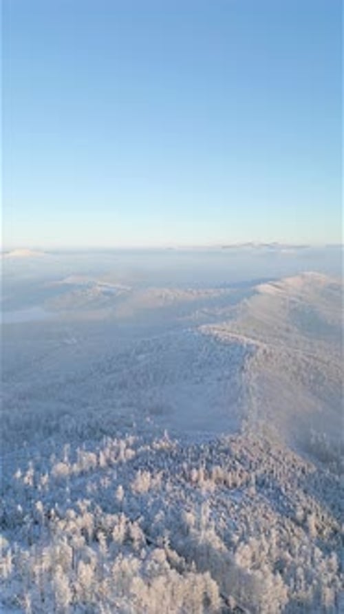 Beautiful Foggy Mountain Landscape View Above Snowcovered Forest in Winter at Sunrise