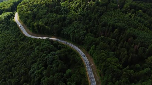 Amazing dark thick forests cover the rocky landscape. Cars run by the highway in the woods.