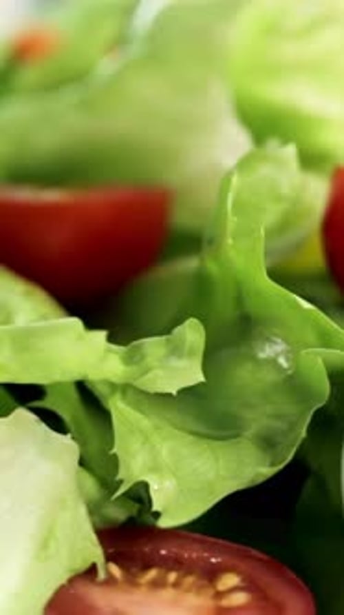 Vertical View Of Mixed Salad