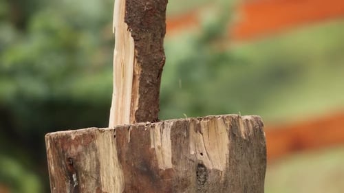 Man With Axe Chops Firewood Log In Shallow Depth Field. Selective Focus Shot