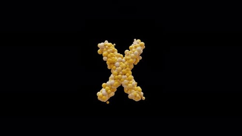 Animated 3D Letter X Formed by Organic Corn Kernels