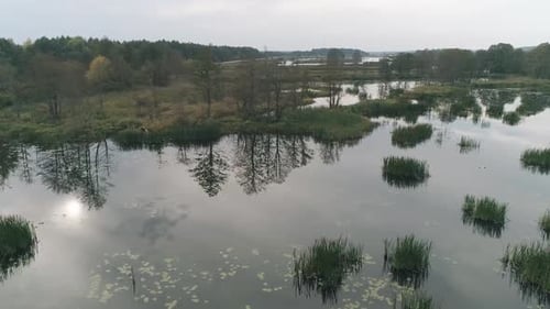Nature From Height Swamp and Lakes Reflections in Water Countryside Panorama Aerial View