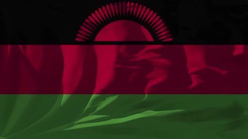 Realistic Waving Malawi Flag Animation