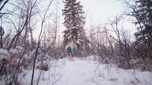 Of Female Runner and Dog Trail Running in Forest