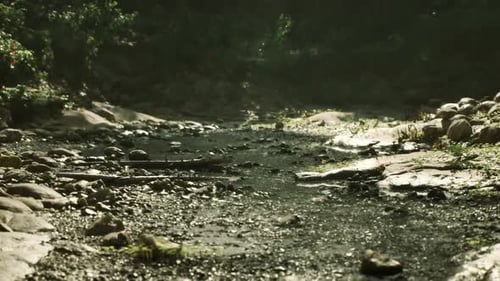 Calm Stream Flowing Through Rocky Terrain in Rural Myanmar During Daytime
