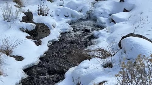 Small stream in wintery snow