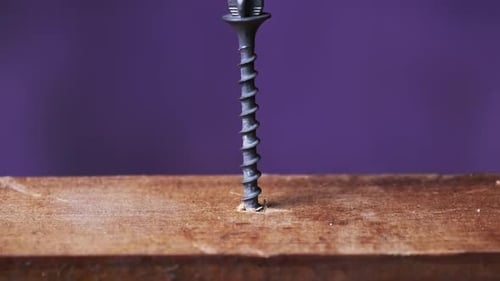 Screw is Screwed Into a Wooden Board with a Screwdriver CloseUp