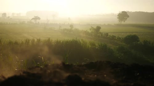 warm sunrise