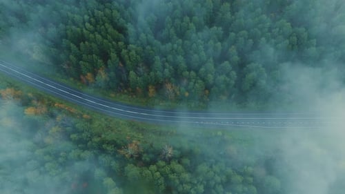 Misty Morning Above Winding Road in Lush Forest During Fall Season