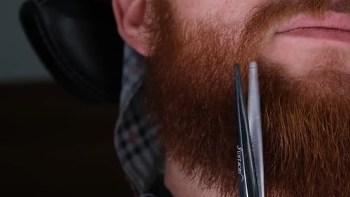 Beard Trimmed with Scissors