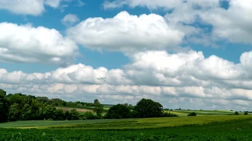 Rural landscape