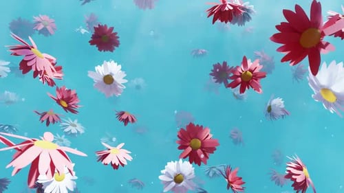 Animated Pink and White Falling Flowers Background