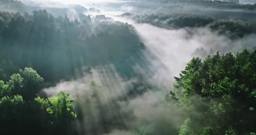 Aerial view of fog over river in autumn at sunrise.