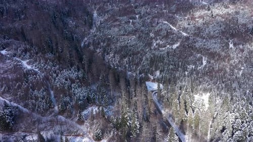 Aerial view of snow covered mountain forest at winter