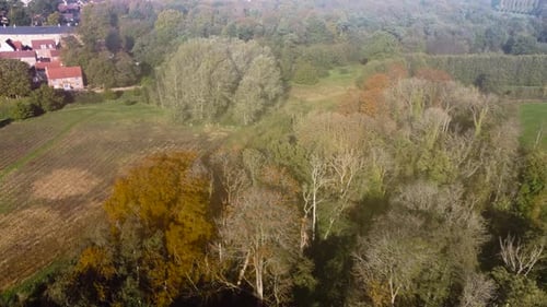 Aerial moving foward orbit shot of forest consisting of trees with green leaves indicating the onset