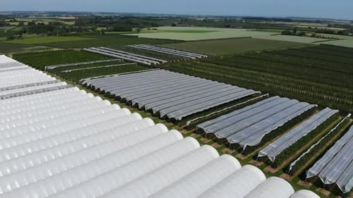 Aerial View of Greenhouses on Agricultural Farm