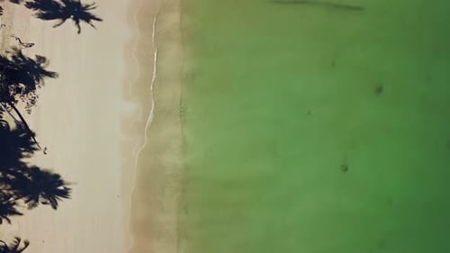 Aerial Video of Deserted Beach with Shadows