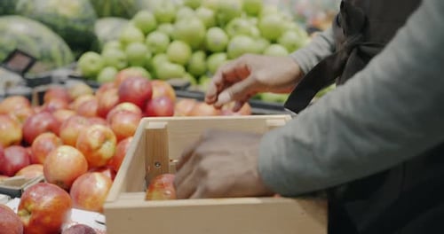 Closeup of Male Hands Putting Apples on Shelf From Box While Salesman Working in Supermarket
