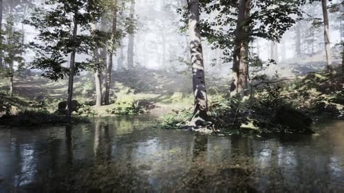 Tranquil Forest Landscape Reflecting on a Serene Pond at Dawn