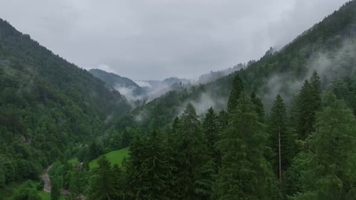Drone View of Mountain Forest in Slovenia Alps Covered By Mist