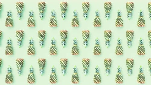 Pineapples Pattern Looped