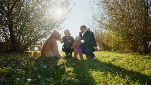 A Heartwarming Moment Family Bonding with a Dog in a Sunlit Park Surrounded By Lush Greenery and