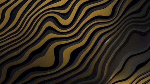 Gradient black oranges line wave background. Abstract gradient wave backdrop animation