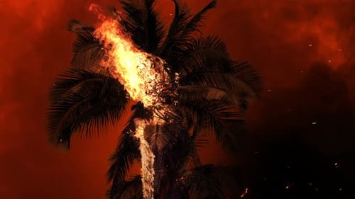 Wildfires ravage Los Angeles in 2025 with flames engulfing palm trees