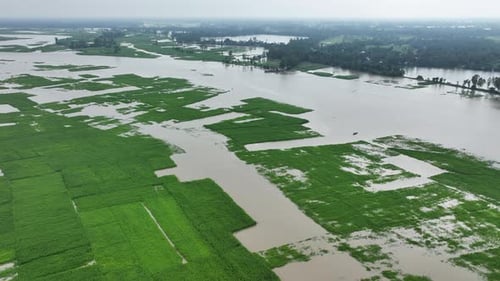 Aerial view of flooded fields, Bangladesh.
