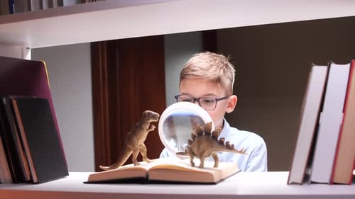 Child Studies Dinosaurs with Magnifying Glass on Shelf