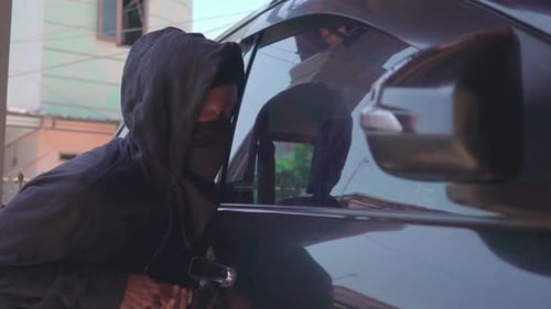 Car thief