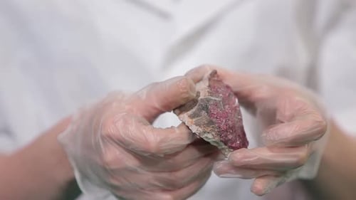 A Dedicated Scientist Carefully Examines a Raw Mineral Sample Within a Specialized Laboratory