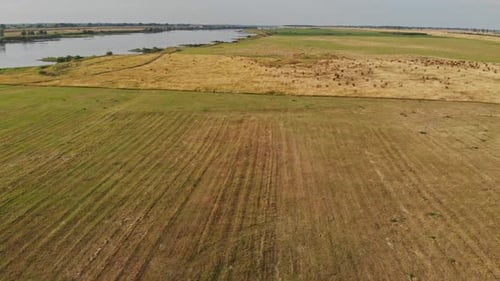 Floodplains of the Vistula River.