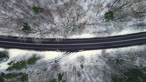 Single One Car Drives Along Empty Road in Winter Snowy Forest