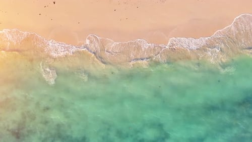 Beach sea palm island tropical ocean sand tree sky water paradise travel nature vacation summer.