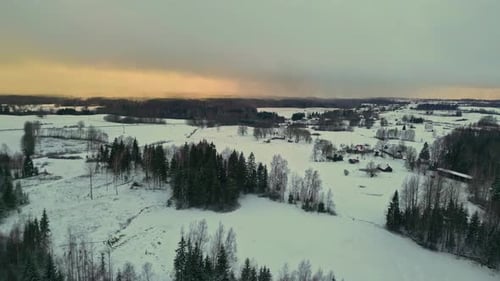 Aerial nature woods forest covered in white snow, rural woodlands in winter