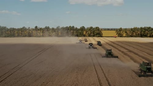 Harvester Harvests Wheat Crop On Field