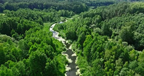 Small river on green swamps. Aerial view of nature