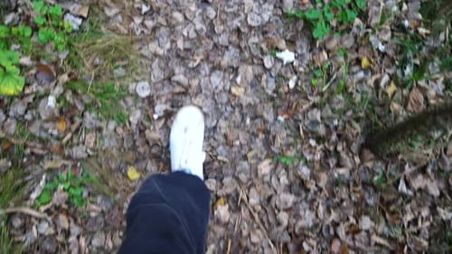 Point of View to Male Feet in Sneakers Stepping Along Path Outdoor Legs of Young Man Going Along
