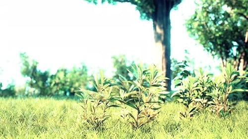 Scenic View of the Park with Green Grass Field in City