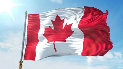Realistic Canadian Flag Waving Loop against Blue Sky