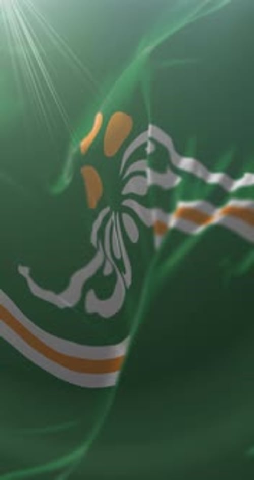 Flag of Töv Province