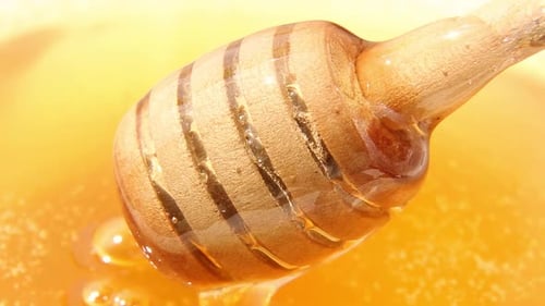 Honey Drips From a Wooden Honey Spoon
