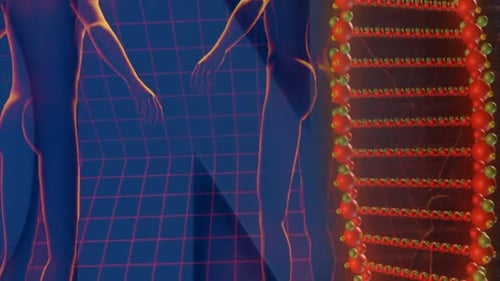 Futuristic Medical Animation of Human Forms and DNA