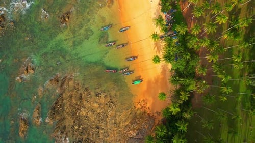 Tropical Beach with Calming Waves