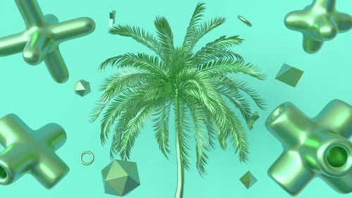 Green 3 D Primitives Loop