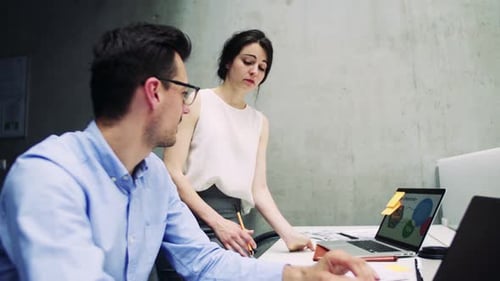Young business people working together on a project in the modern office