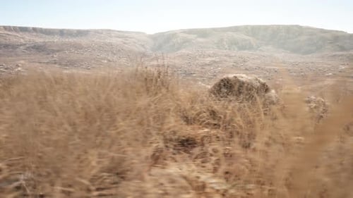 Photorealistic Desert Panorama Animation 4K