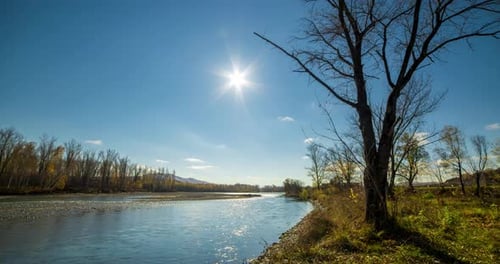 Mountain River Timelapse at the Summer or Autumn Day Time Wild Nature Clear Blue Water and Dry Trees